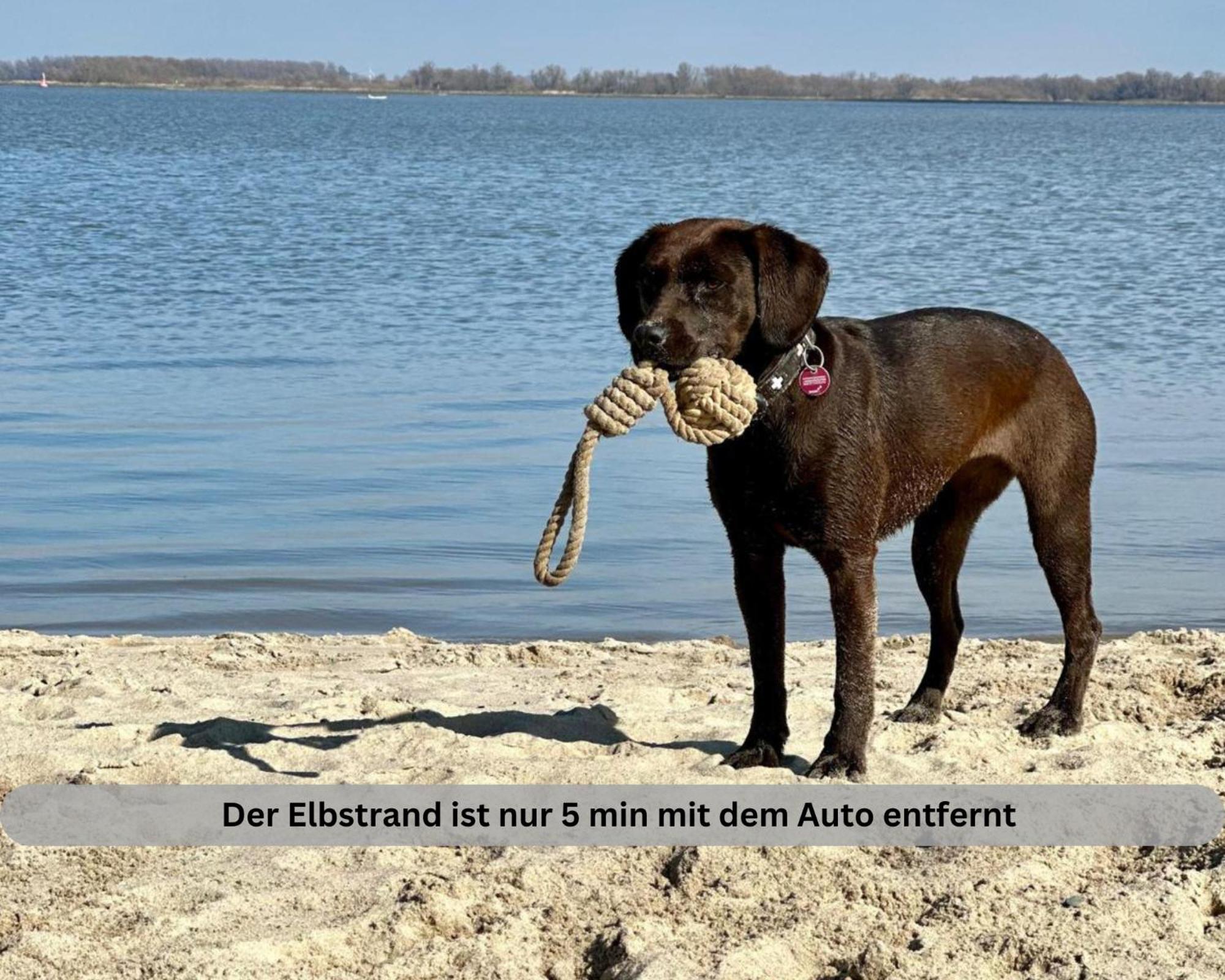 Lodge Of Africa - Einzigartige Themenzimmer, Eingezaeunten Garten, Sauna, Whirlpool & Kamin, Hunde Willkommen, Gasgrill, Voll Ausgestattete Kueche, Grosser Essbereich, Hamburg & Stade In Der Naehe Twielenfleth Exteriör bild