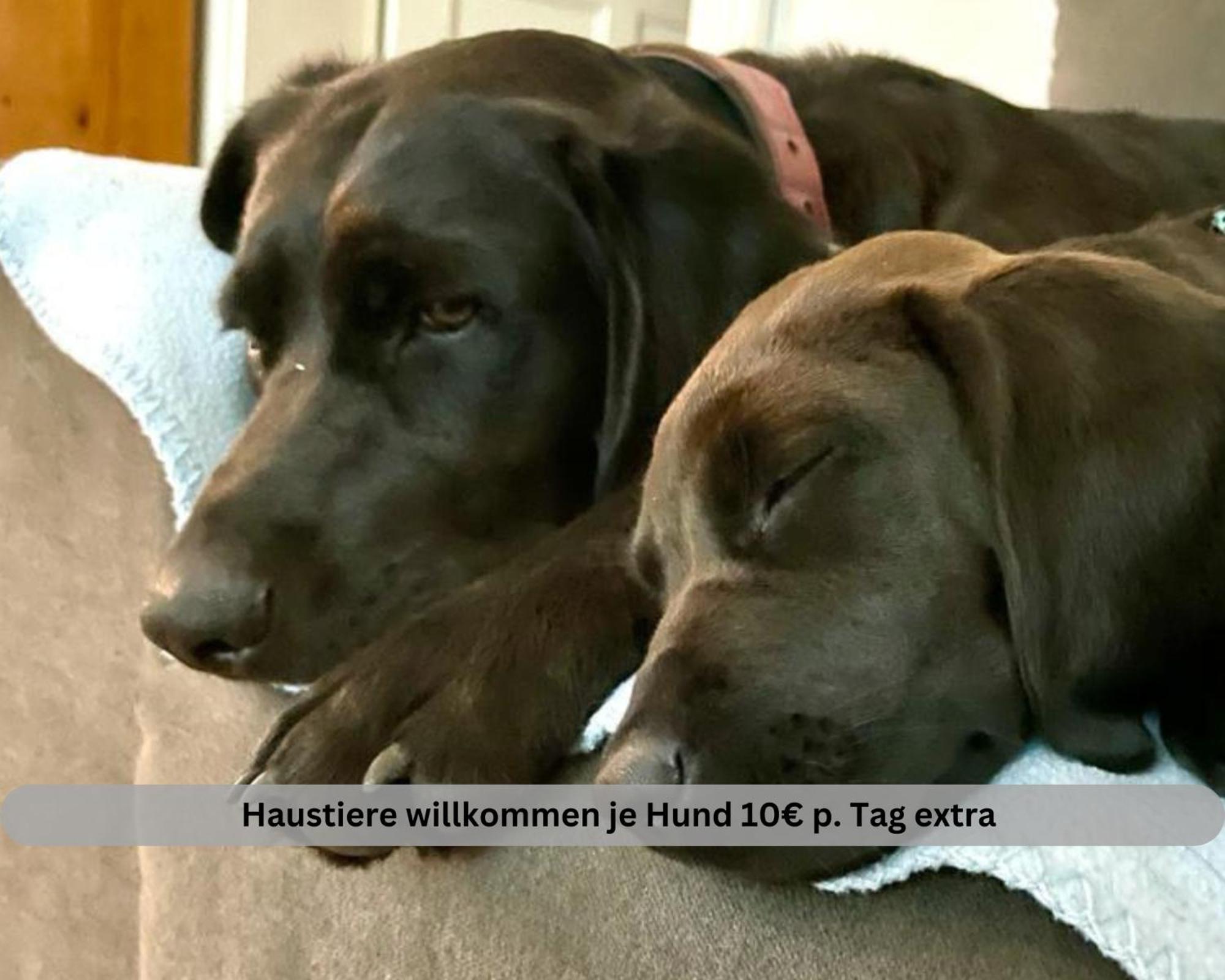 Lodge Of Africa - Einzigartige Themenzimmer, Eingezaeunten Garten, Sauna, Whirlpool & Kamin, Hunde Willkommen, Gasgrill, Voll Ausgestattete Kueche, Grosser Essbereich, Hamburg & Stade In Der Naehe Twielenfleth Exteriör bild